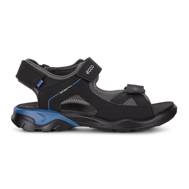 Ecco biom raft clearance sandal