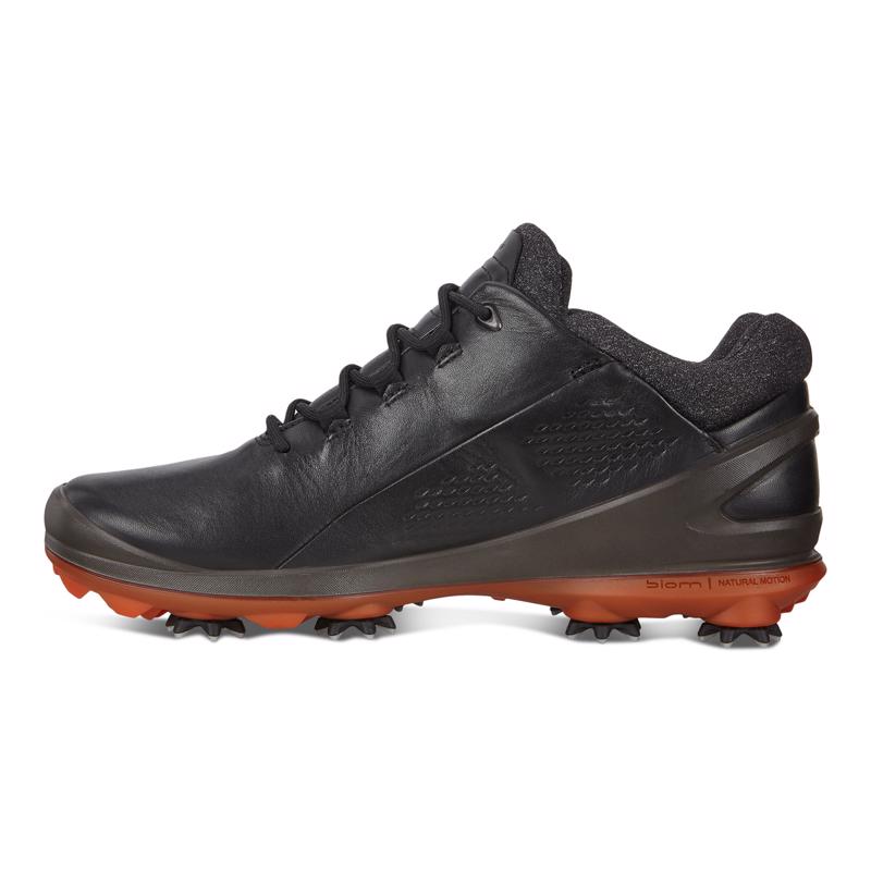 ECCO M GOLF BIOM G 3 Shoe ECCO Turkiye