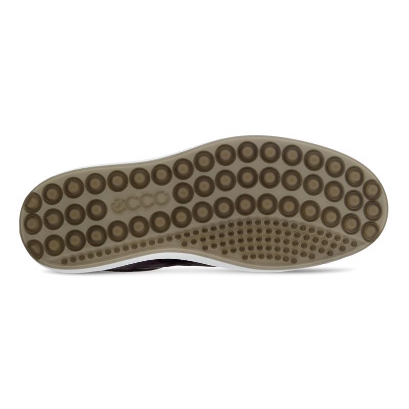 Ecco soft 7 licorice store