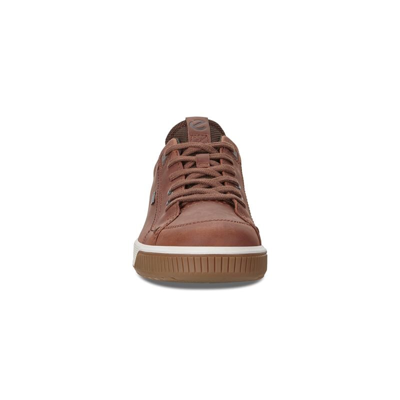 ecco byway tred brandy