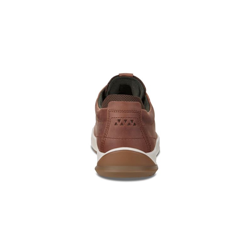 ecco byway tred brandy