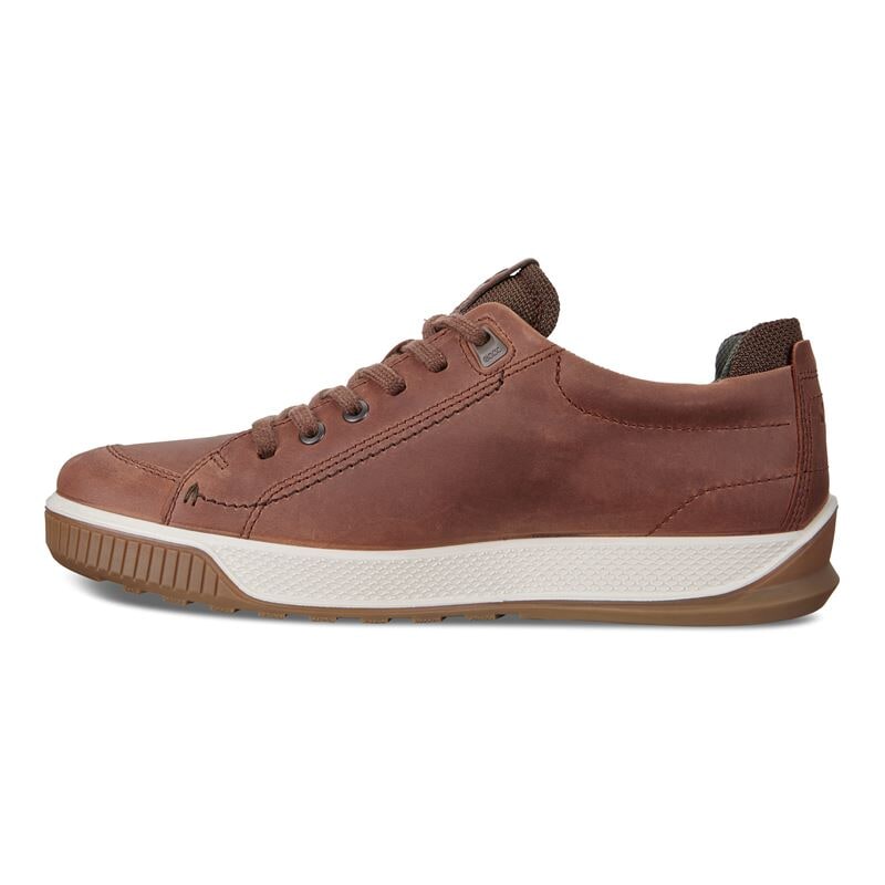 ecco byway tred brandy