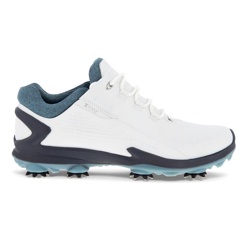 ECCO M GOLF BIOM G 3 Shoe