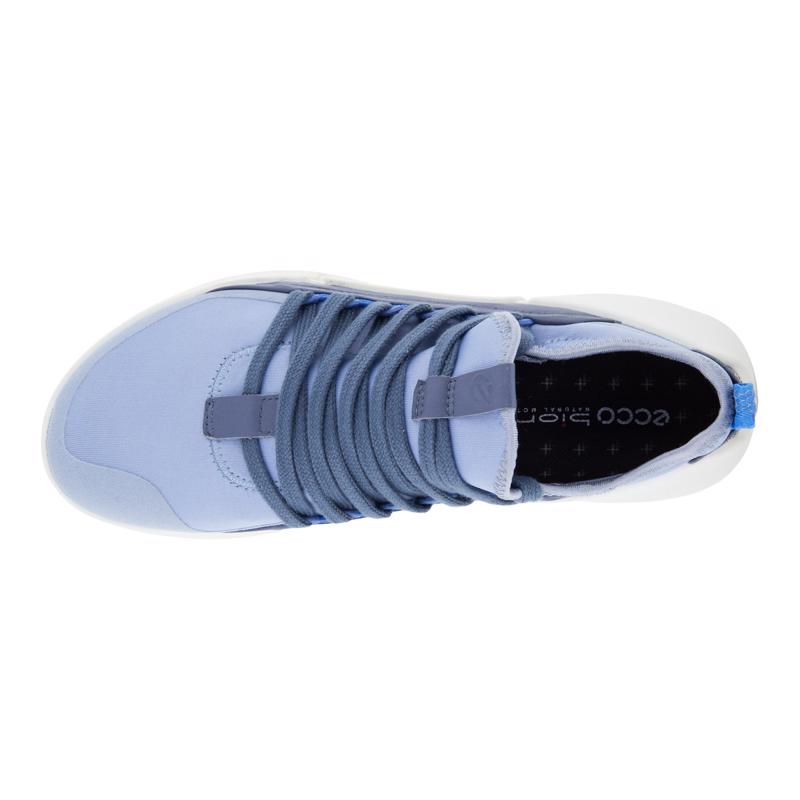 Ecco cool 2025 2. blue