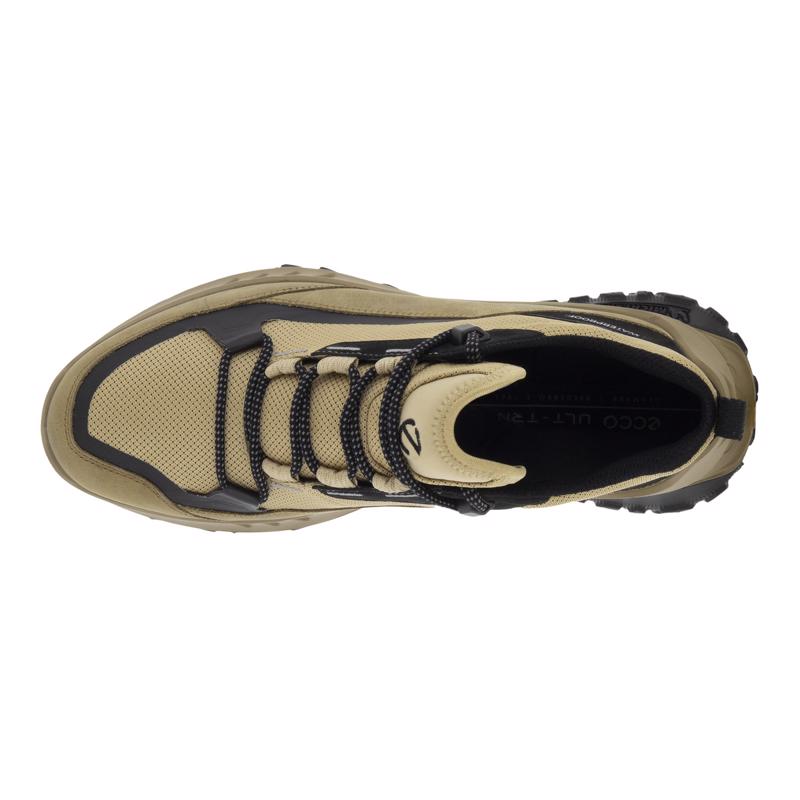 Hiking on sale shoes ecco