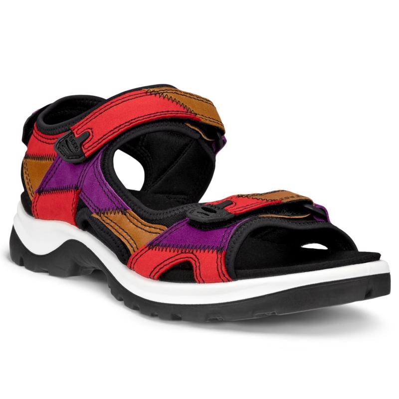 Ecco offroad multicolor online
