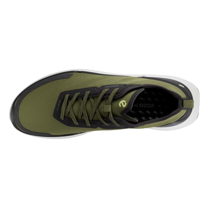Biom 2.2 M Acorn ECCO Turkiye