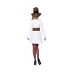 Erkek genel Miss Snowman Fancy Dress Costume