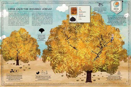 Erkek genel Ağaç Atlası (Harita hediyeli)