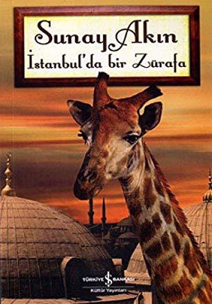Erkek genel İstanbul'da Bir Zürafa
