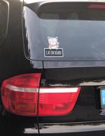 Erkek genel Cat on Board Araba Sticker