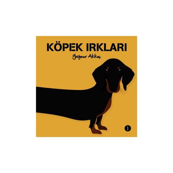 Men genel Köpek Irkları