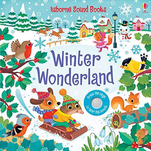 Erkek genel USB - Winter Wonderland Sound Book