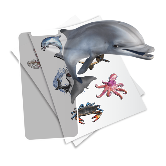 Men genel HoloToyz Sticker Super Sea Creatures AR Uyumlu Eti