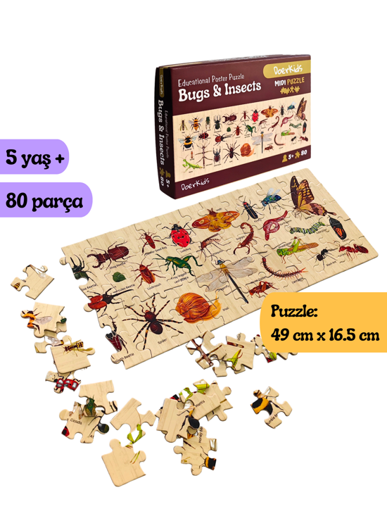 Men genel Midi Puzzle - Bugs and Insects 80 pcs