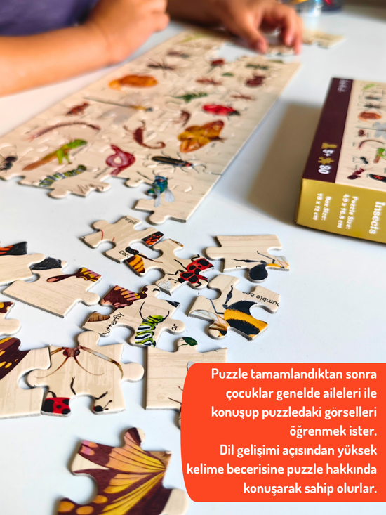 Erkek genel Midi Puzzle - Bugs and Insects 80 pcs