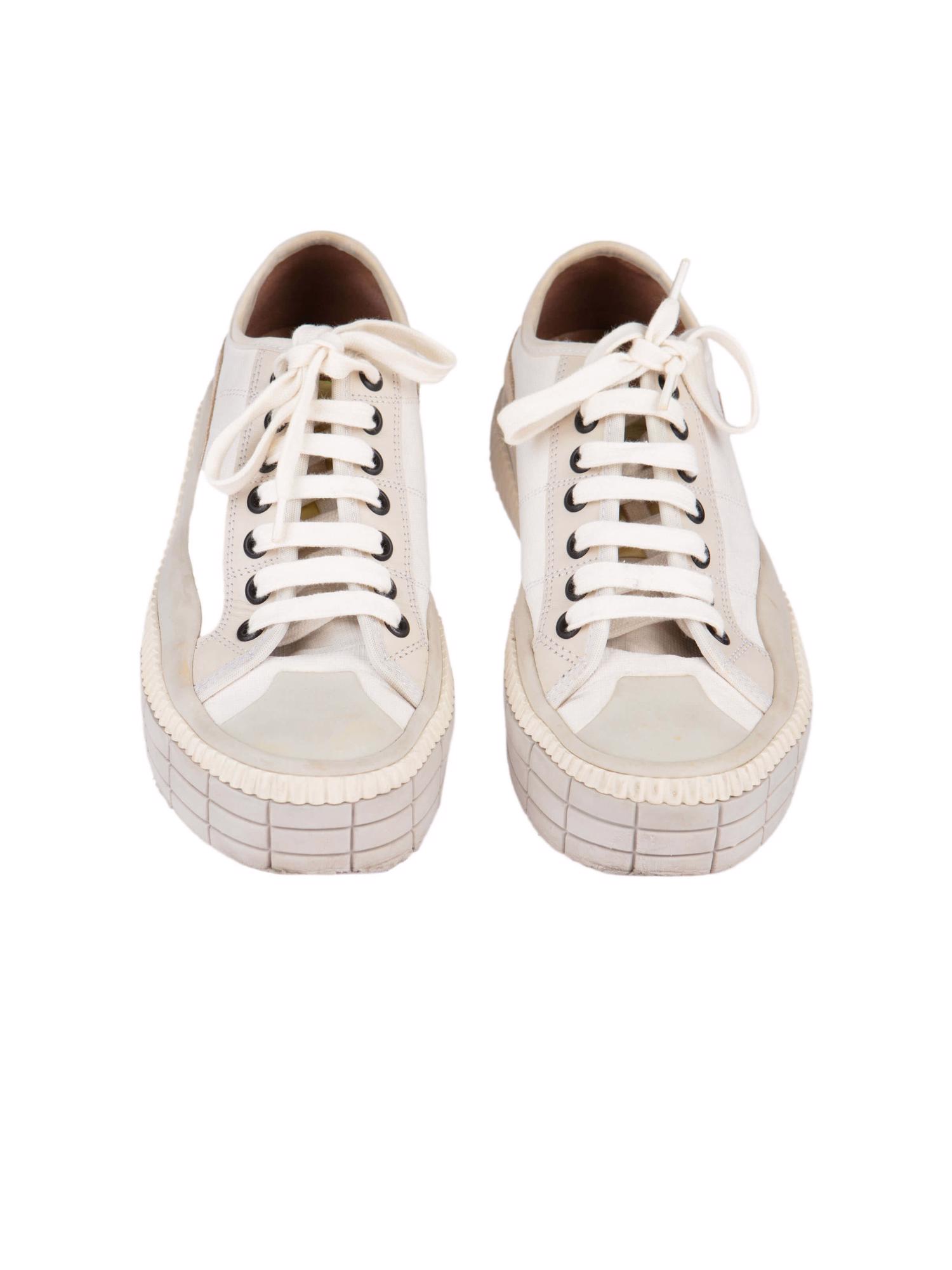 Bayan Gri CHLOE SNEAKER