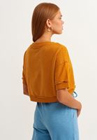 Women Orange Crop Top Sweatshirt
