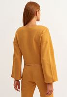 Women Orange Belted Crop Sweatshirt