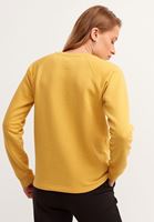 Bayan Sarı Artwork Baskılı Crop Sweatshirt