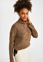 Women Brown Roll Neck Pullover
