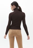 Women Brown Turtleneck Knitwear Sweater