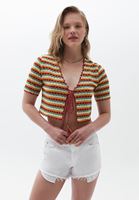 Bayan Çok Renkli Crop Triko Bluz