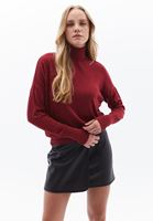 Women Bordeaux Turtle Neck Sweater