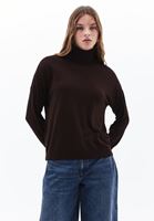 Women Brown Turtle Neck Sweater