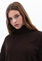 Women Brown Turtle Neck Sweater