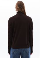 Women Brown Turtle Neck Sweater