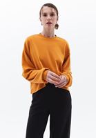 Kruvaze Sweatshirt ve Straight-Fit Pantolon Kombini