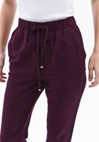 Women Purple Linen Blended Carrot Fit Pants