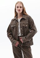 Women Brown Oversize Jacket with Buttons