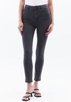 Women Grey High Rise Skinny Fit Pants