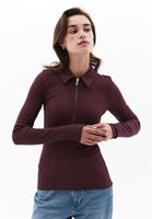 Women Brown Polo Neck Tshirt