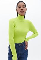 Women Green Turtleneck Knitwear Sweater