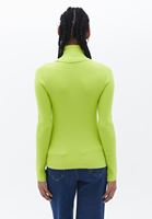 Women Green Turtleneck Knitwear Sweater