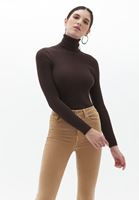 Women Brown Turtleneck Knitwear Sweater