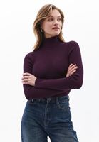 Women Purple Turtle Neck Knitwear Sweater