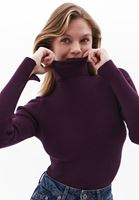 Women Purple Turtle Neck Knitwear Sweater