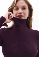 Women Purple Turtle Neck Knitwear Sweater