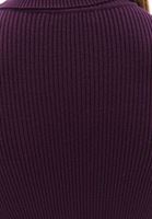 Women Purple Turtle Neck Knitwear Sweater