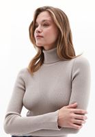 Women Brown Turtle Neck Knitwear Sweater