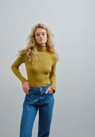 Women Green Turtle Neck Knitwear Sweater